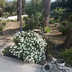 Fontana Valderice