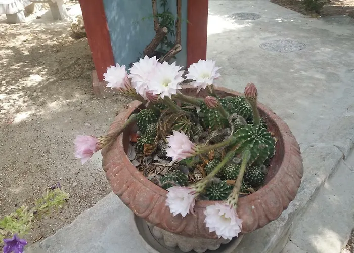 Fontana 别墅 瓦尔德利切